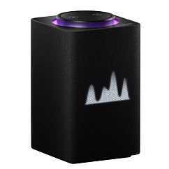Умная колонка Яндекс Станция Макс Zigbee Black