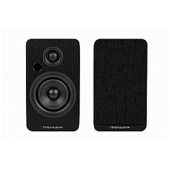 Полочная акустика Premiera RS-301A Black