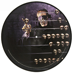 Виниловая пластинка Megadeth - Countdown To Extinction (Picture) LP
