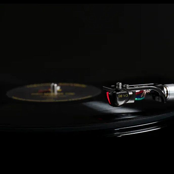 Звукосниматель DS Audio DS-W3 Cartridge Black - рис.4