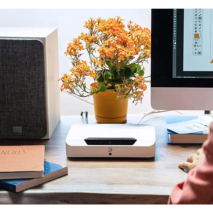 Сетевой аудиоплеер Bluesound PowerNode N230 White - рис.6