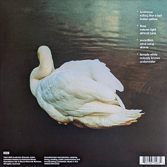 Виниловая пластинка Ludovico Einaudi - Underwater 2LP