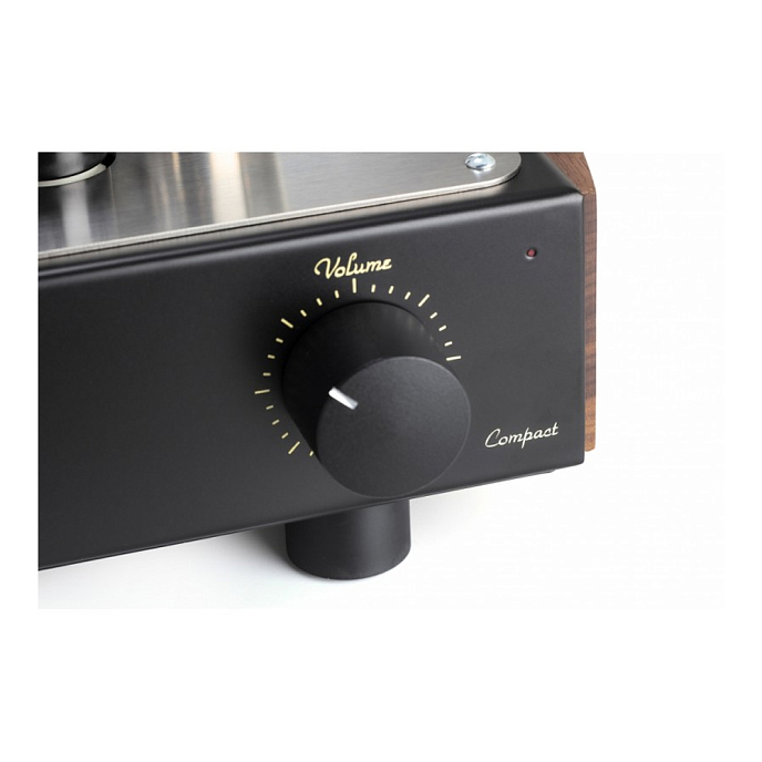 Интегральный усилитель Mastersound Compact 300B Black Wood - рис.2