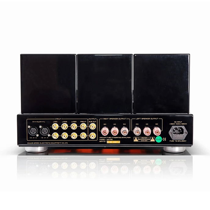 Интегральный усилитель Cayin Soul 170I - рис.2