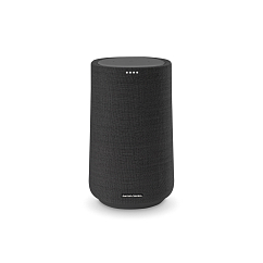 Портативная колонка Harman Kardon Citation 100 Black