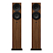 Amphion Argon3LS Walnut