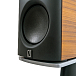 Полочная акустика Borresen 01 Cryo Walnut - рис.5