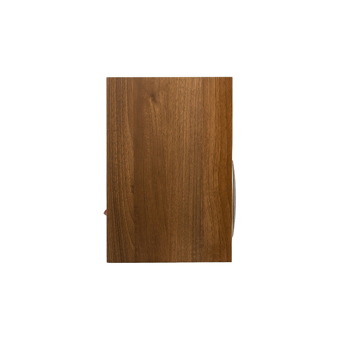 Полочная акустика Martin Logan Foundation B1 Walnut - рис.5