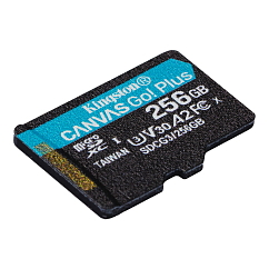 Карта памяти Kingston Canvas Go Plus 256Gb