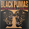 Black Pumas – Chronicles Of A Diamond (chrystal clear) LP