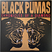 Виниловая пластинка Black Pumas – Chronicles Of A Diamond (chrystal clear) LP - рис.0