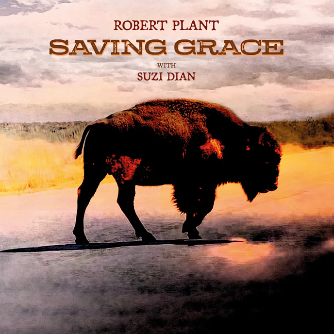 Виниловая пластинка Robert Plant With Suzi Dian – Saving Grace (Fruit Punch) LP - рис.0