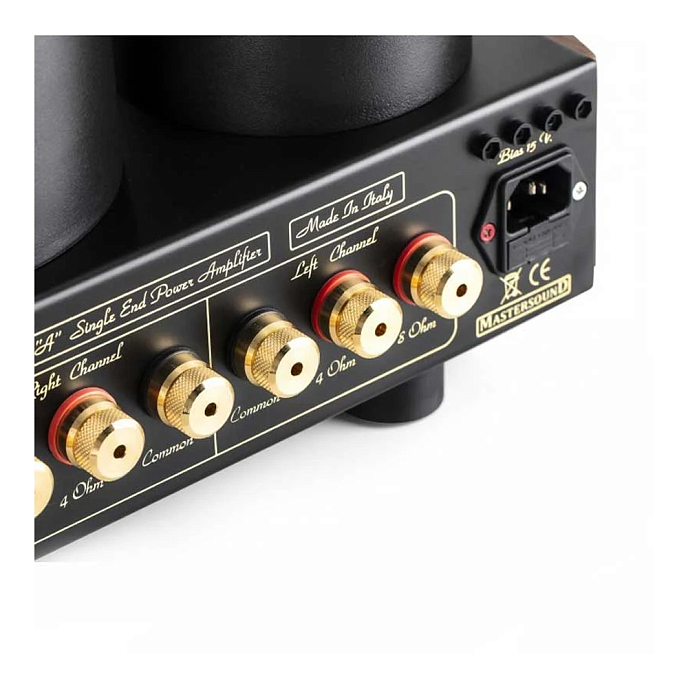 Интегральный усилитель Mastersound Evo 300B Black Wood - рис.2