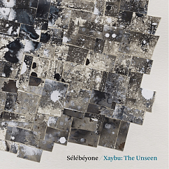 Виниловая пластинка Selebeyone – Xaybu: The Unseen LP