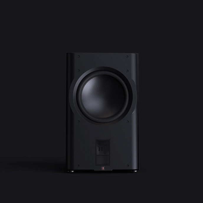 Сабвуфер Perlisten Audio D215s Piano Black - рис.3