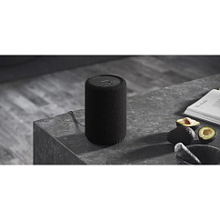 Портативная колонка Audio Pro A10 MKII W Black