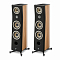 Focal Kanta N3 Walnut High Gloss Black Mat