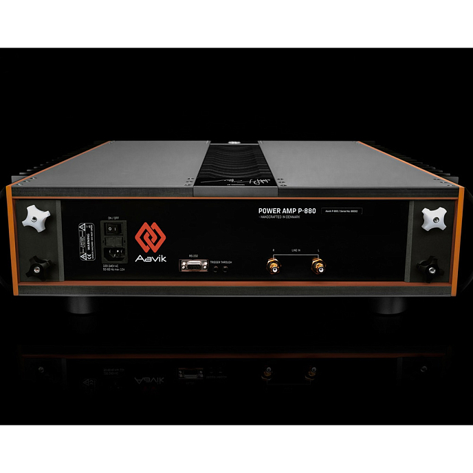 Усилитель мощности Aavik P-880 Black - рис.1