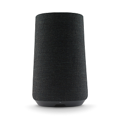 Портативная колонка Harman Kardon Citation 100 Black