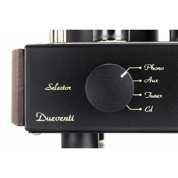 Интегральный усилитель Mastersound Dueventi Black Wood - рис.2