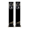 PMC Twenty5.23 Diamond Black