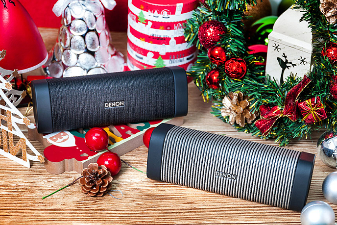 Портативная колонка Denon Envaya Mini DSB-250BT Grey - рис.11