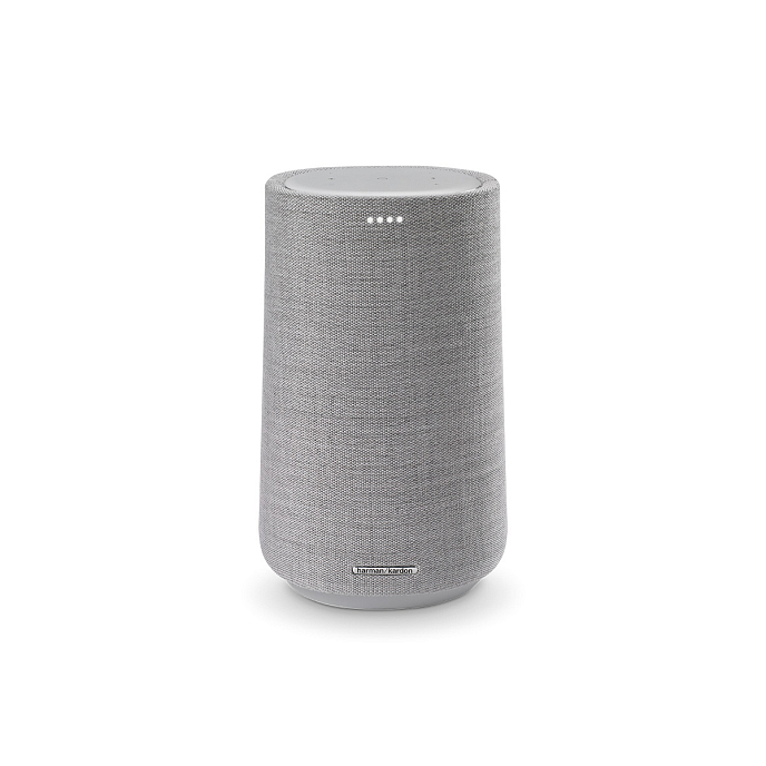 Портативная колонка Harman Kardon Citation 100 Grey - рис.1