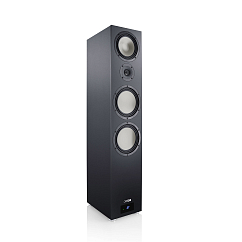 Напольная акустика Canton Smart GLE 9 S2 Black