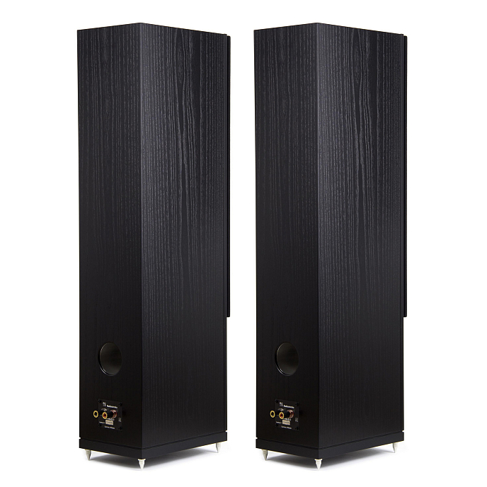 Напольная акустика Radiotehnika Gamma 3.02 Black - рис.2