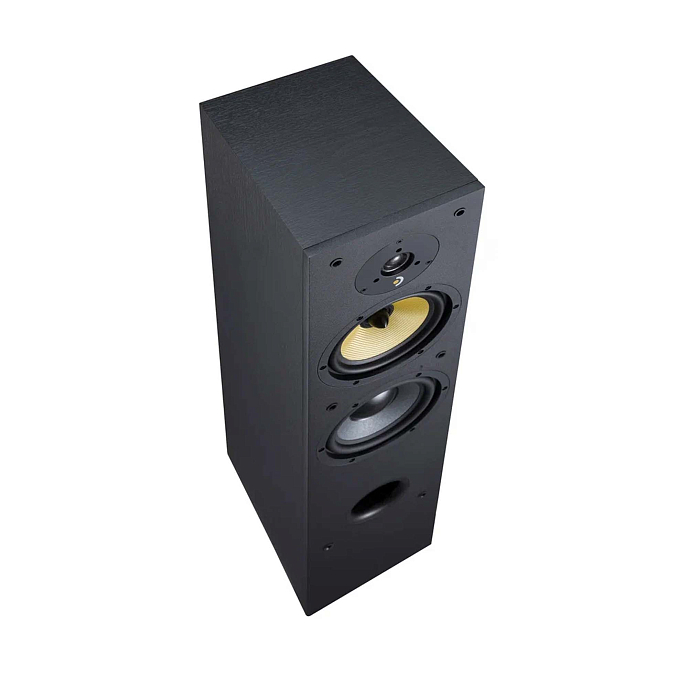 Напольная акустика Davis Acoustics Ariane 5 Black - рис.5