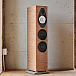 Напольная акустика Sonus Faber Sonetto VIII G2 Walnut - рис.6 Напольная акустика Sonus Faber Sonetto VIII G2 Walnut - рис.6