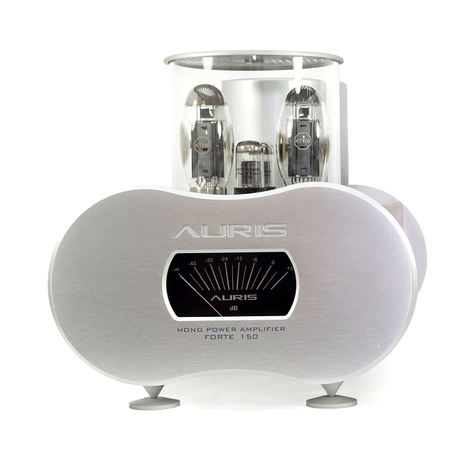 Усилитель мощности Auris Forte 150 - рис.1