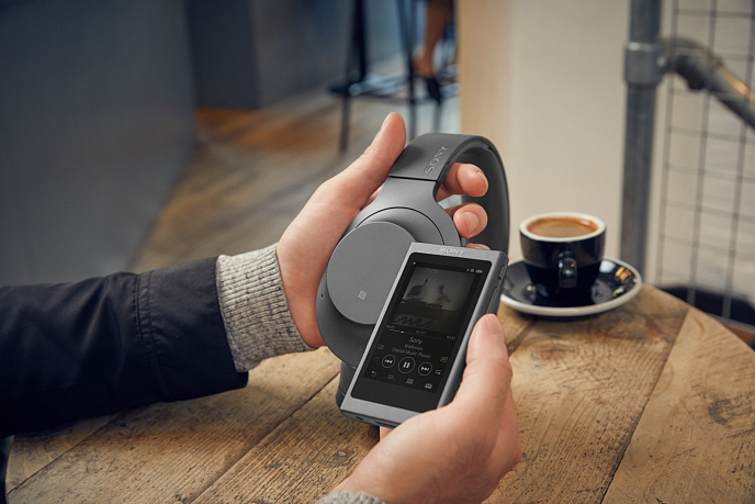 Плеер SONY NW-A45HN 16gb gold - рис.8