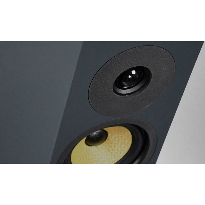 Напольная акустика Davis Acoustics Courbet N 4 Grey Matt - рис.5