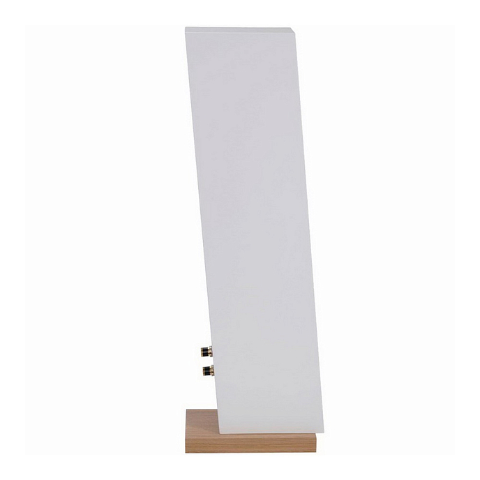 Напольная акустика Davis Acoustics Courbet N 7 White - рис.5