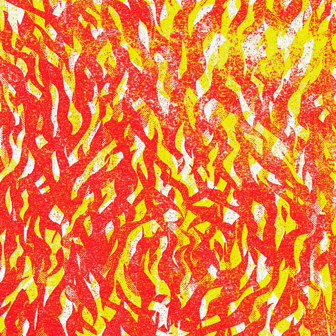 Виниловая пластинка The Bug – Fire (Coloured Grey) 2LP - рис.0