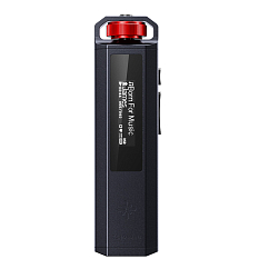 Плеер FiiO Snowsky Echo Nano Black