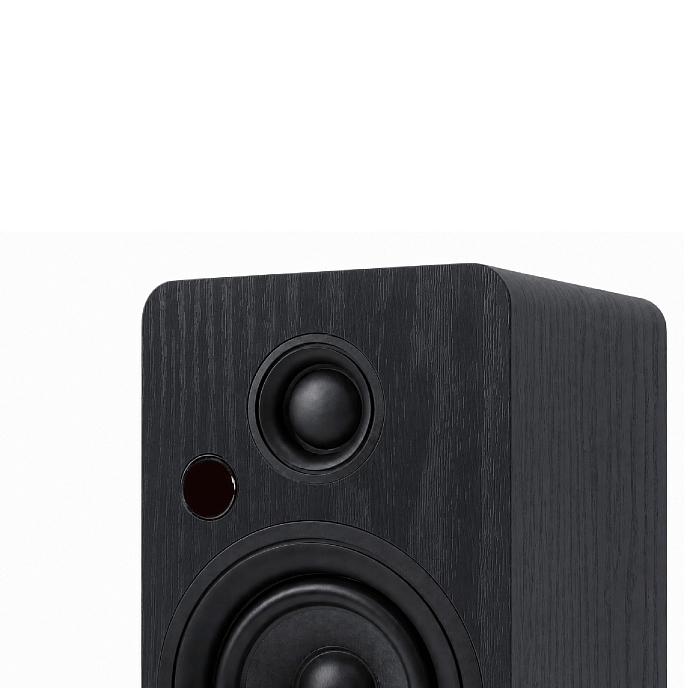 Полочная акустика Premiera RS-301A Black - рис.10