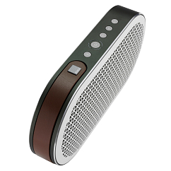 Портативная колонка Dali Katch Grape Leaf