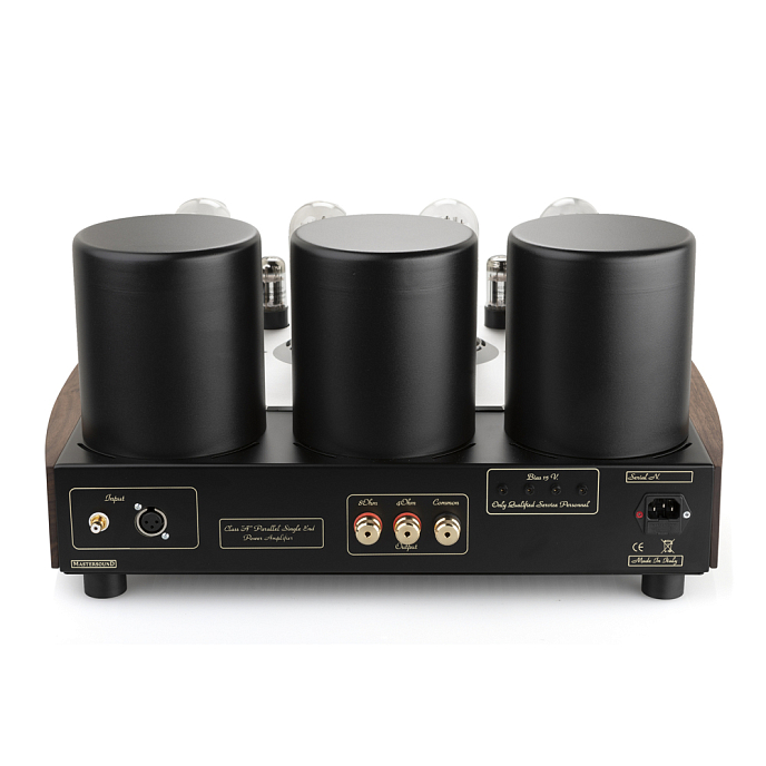 Усилитель мощности Mastersound PF100 Limited Black Wood - рис.2
