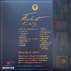 Виниловая пластинка Thundercat – It Is What It Is LP