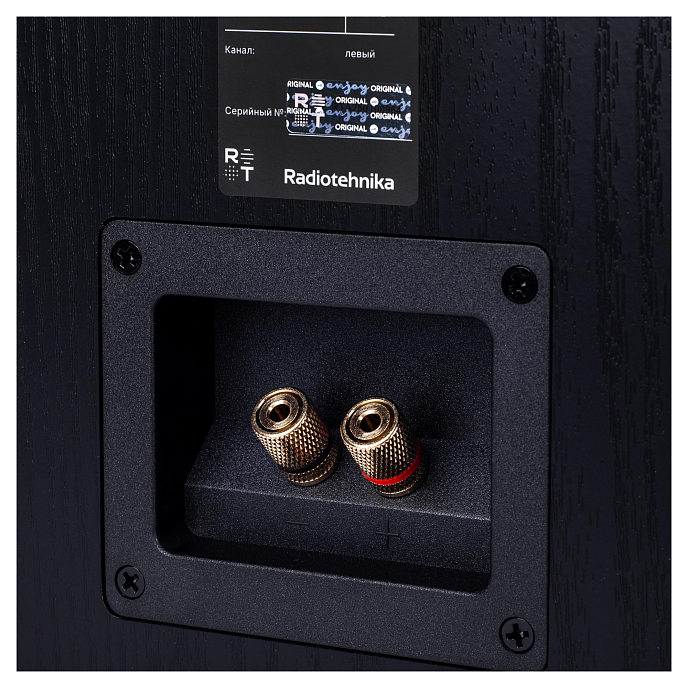 Полочная акустика Radiotehnika S-10NA black ash активная 2х-полосная полочная акустика с bluetooth (пара) (SN 77360838325518568586)_Уценка - рис.11
