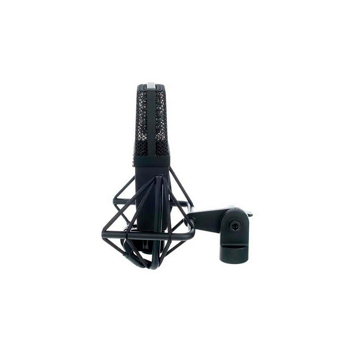 Микрофон студийный SE Electronics SE4400AST - рис.4