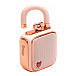 Портативная колонка Divoom LoveLock Pink - рис.1
