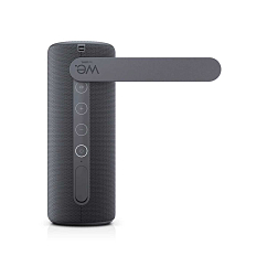 Портативная колонка Loewe We. HEAR 2 Storm Grey