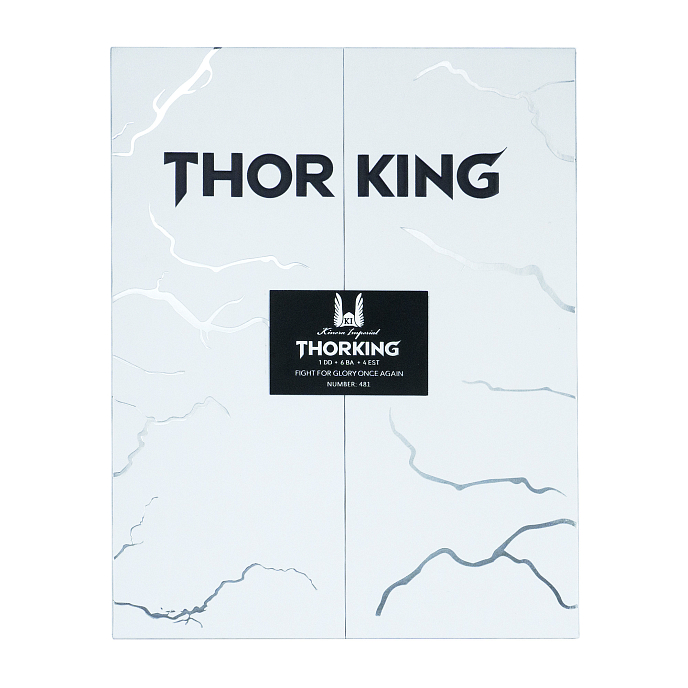 Наушники внутриканальные Kinera ThorKing Matte Silver - рис.10