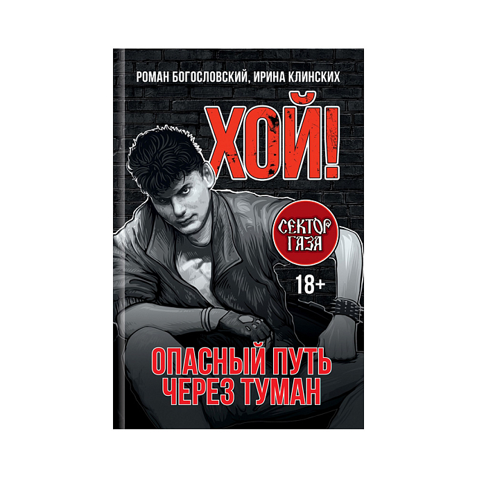 Книга Хой! Опасный путь через туман Богословский Р. С., Клинских И. - рис.0
