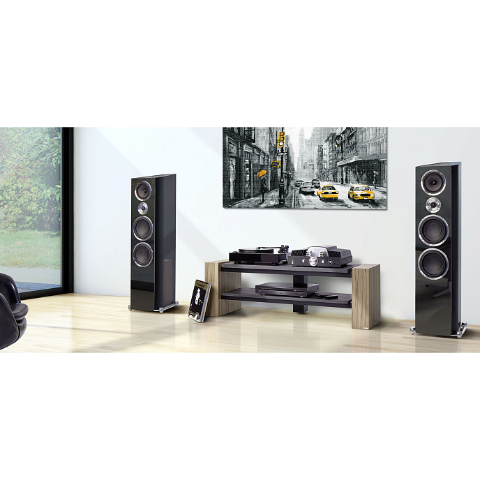 Напольная акустика HECO Celan Revolution 9 Piano Black - рис.5