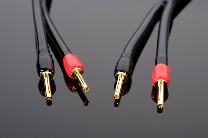 Кабель Transparent Audio Wave G6 Speaker Cable SP - SP 3 m - рис.1