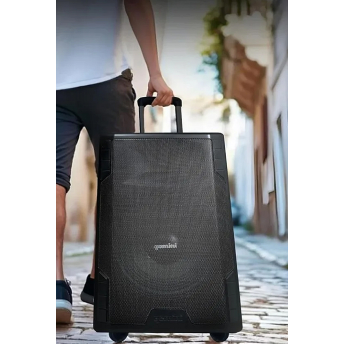 Акустическая система Gemini GSP-5500 - рис.2